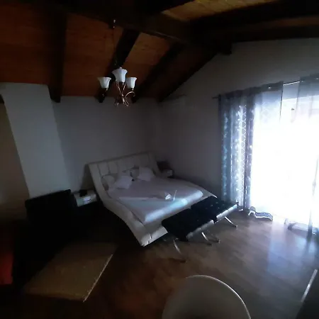 バイリス ティラナ